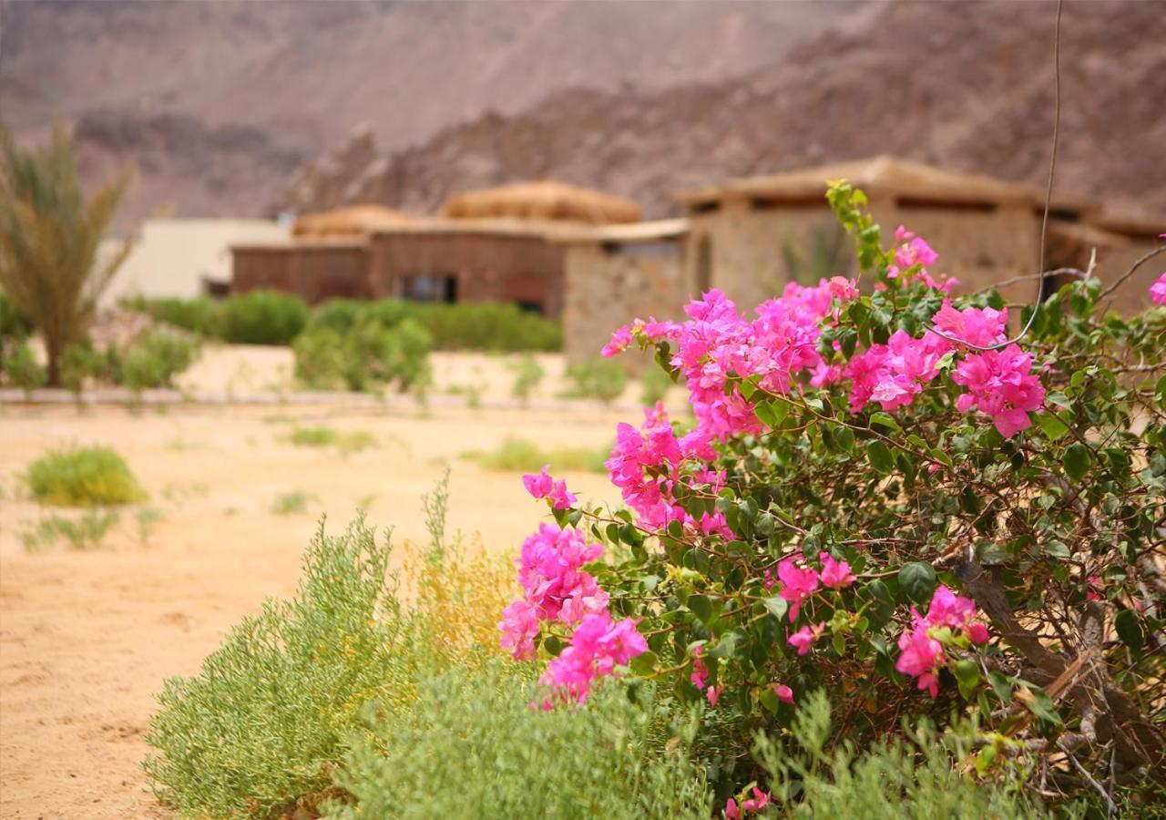 Safari Beach Nuweiba` Esterno foto